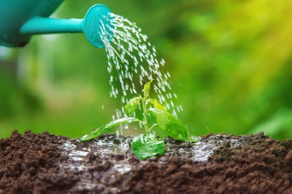 Wie entferne ich Eisen und Mangan aus meinem Brunnenwasser? - Wie entferne ich Eisen und Mangan aus meinem Brunnenwasser?